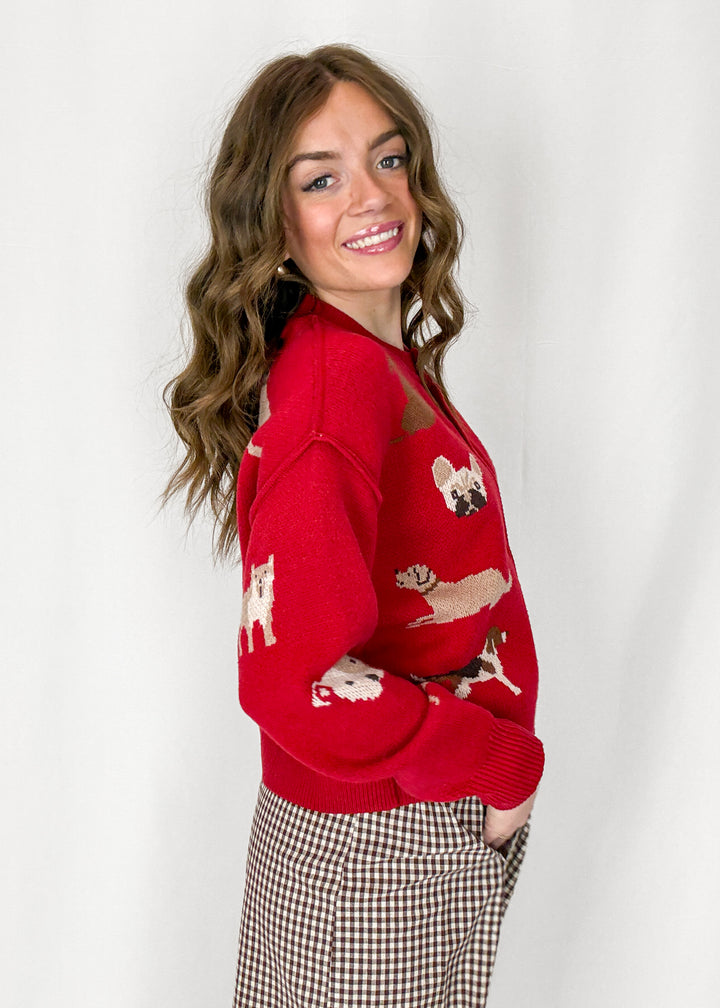 Harlow Dog Cardigan