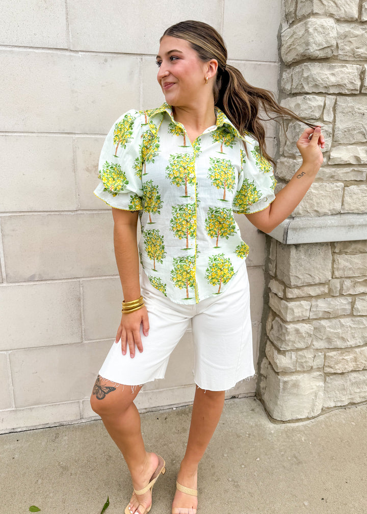 Ivy Jane Sweet & Sour Button Down