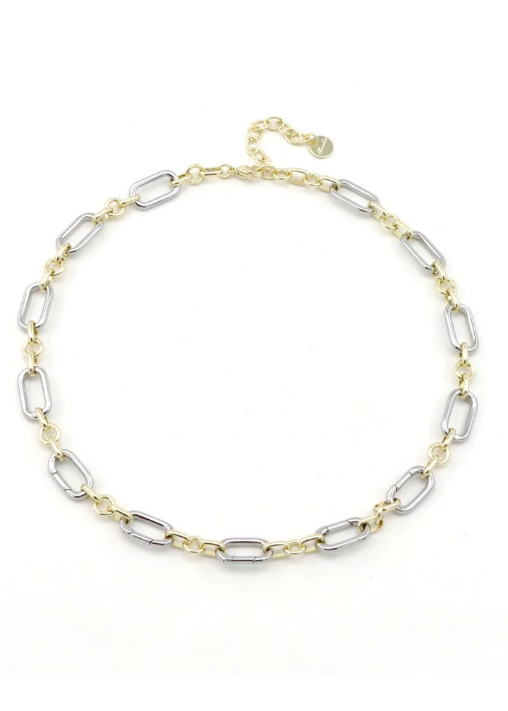 Two Tone Collectors Necklace