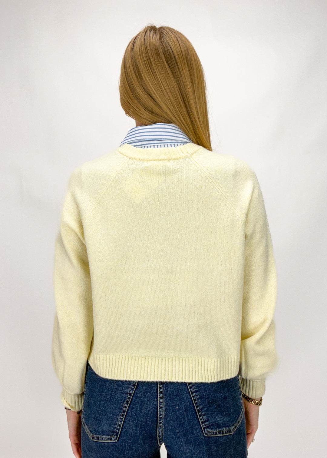 Layering Dickey - Blue Stripes