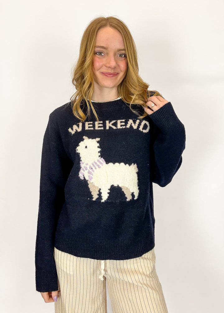 Macie Alpaca Sweater